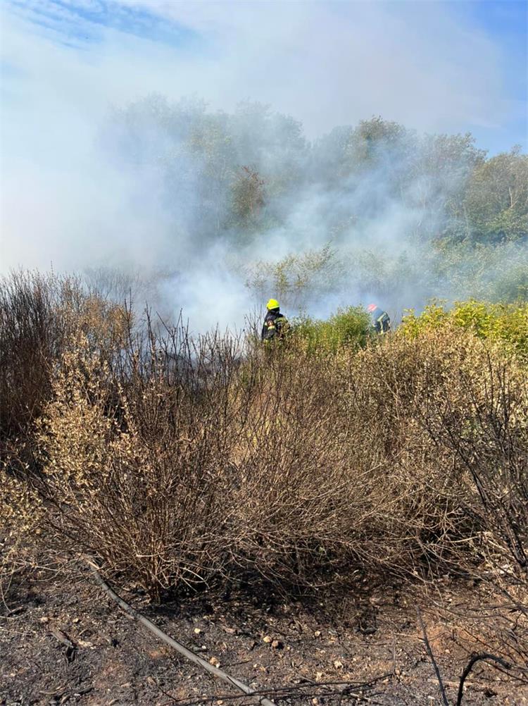 Slika /slike/JVP Pula2.jpg